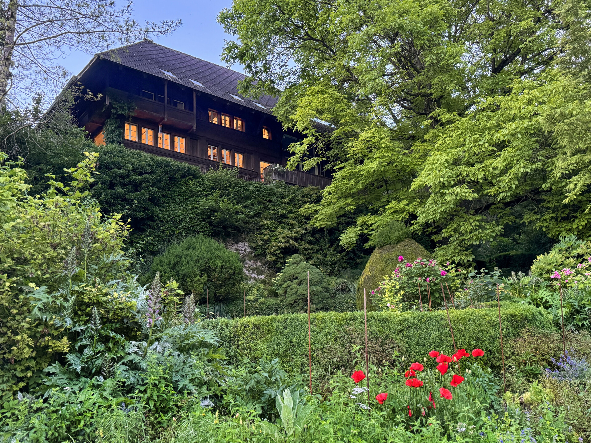 Einzigartige Naturoase am Wohlensee